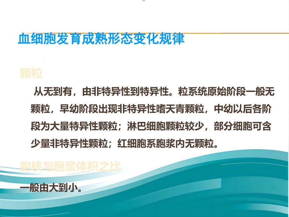 血液学基础讲座ppt课件_第8页