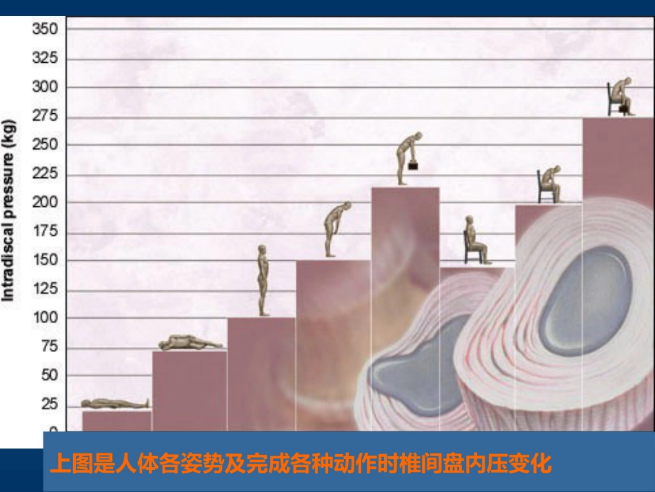腰腿痛(健康讲座) ppt课件_第10页