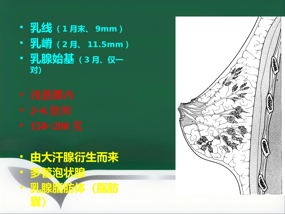 乳腺病理要点讲座_第11页