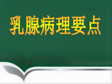 乳腺病理要点讲座
