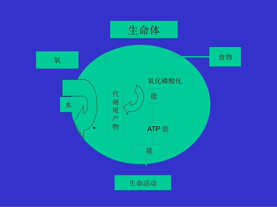 高压氧讲座_第12页