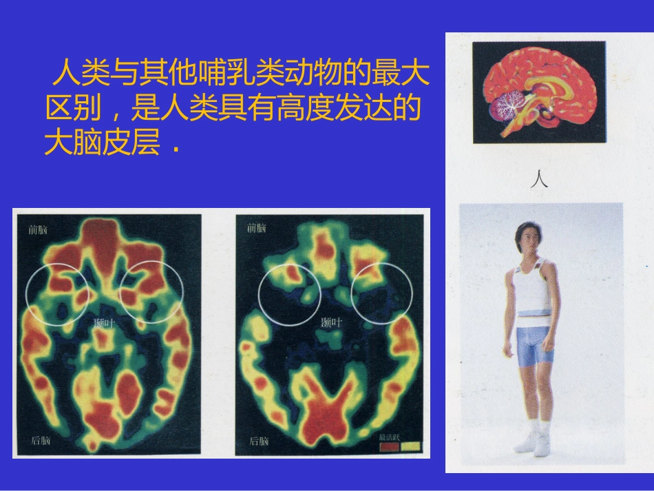 高压氧讲座_第13页