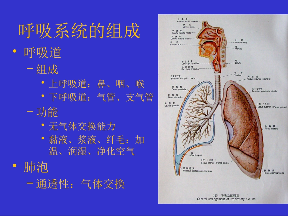高压氧讲座_第14页