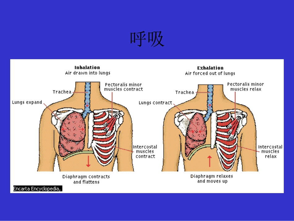 高压氧讲座_第15页