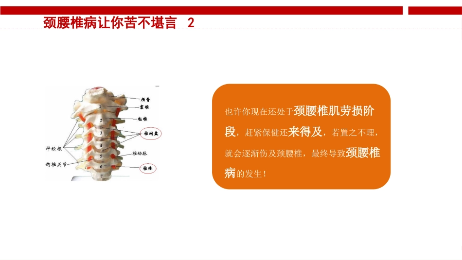 颈腰椎病健康讲座_第11页