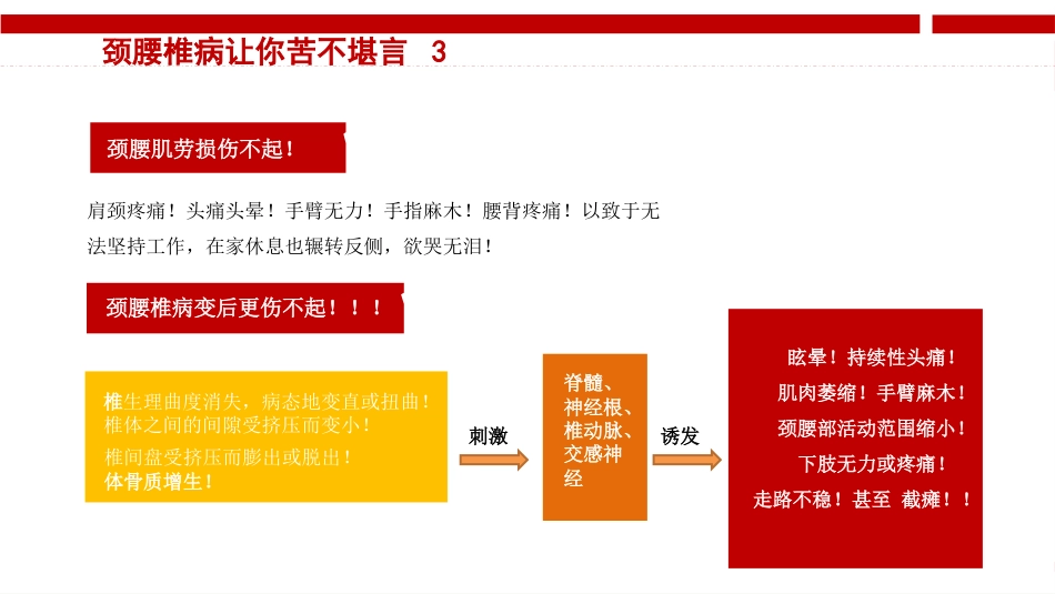 颈腰椎病健康讲座_第12页