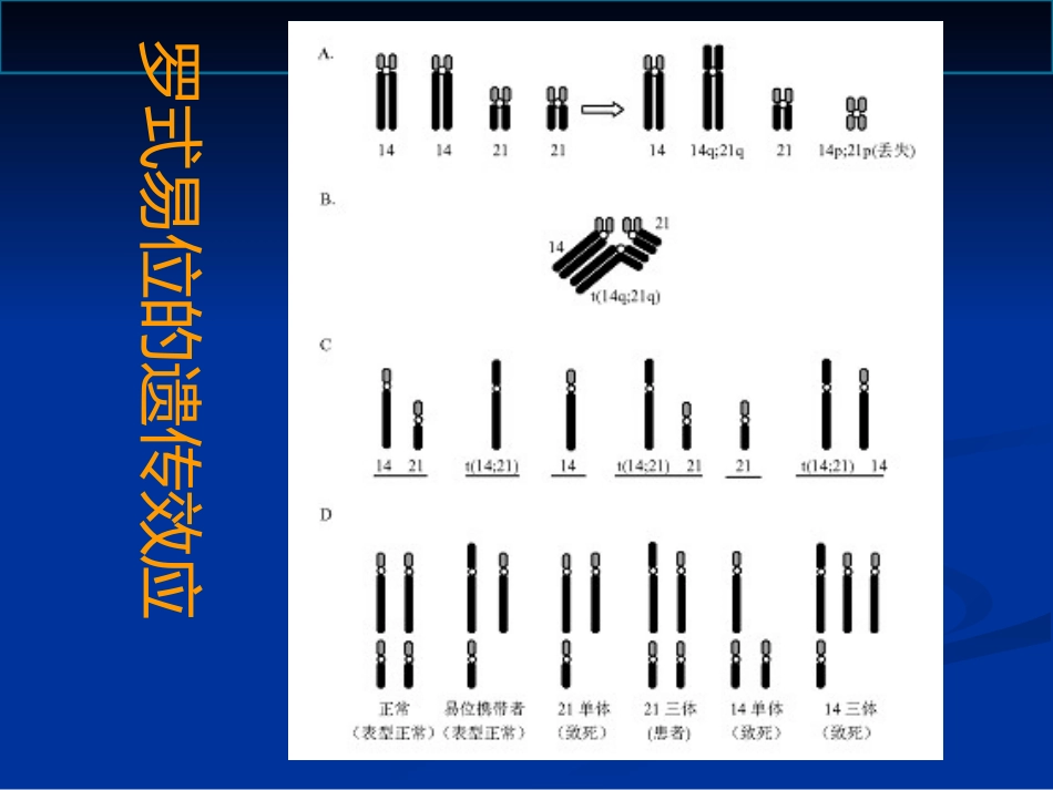 染色体病诊断与咨询讲座_第11页