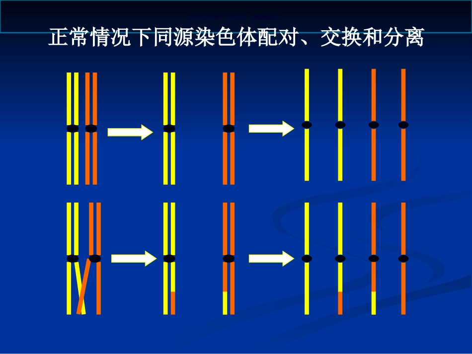 染色体病诊断与咨询讲座_第14页