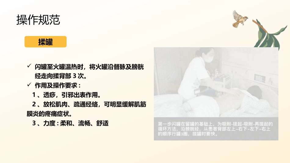 平衡火罐的操作规范及临床应用_第14页