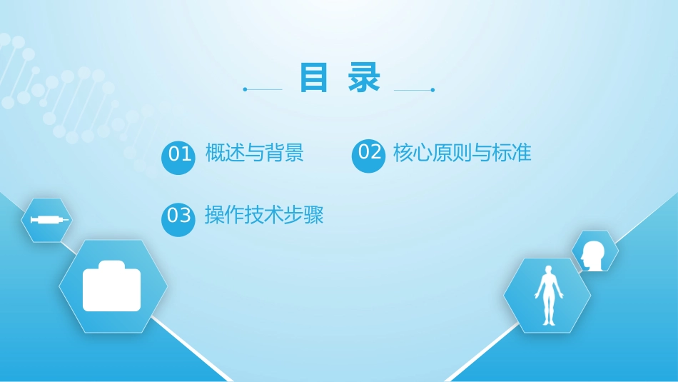 静脉治疗护理技术操作标准（2025版）_第2页