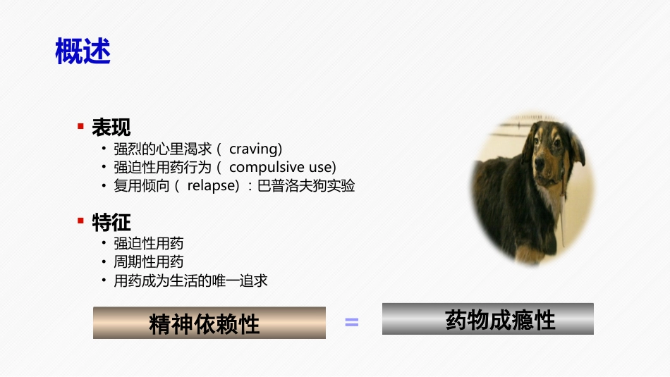 药物滥用及药物依赖性_第13页