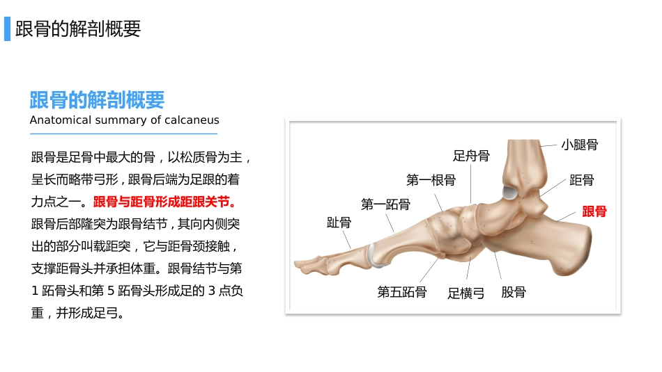 医院培训PPT课件：跟骨骨折患者护理_第4页