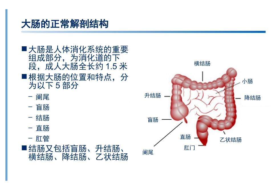 结直肠癌基础知识培训ppt课件_第4页