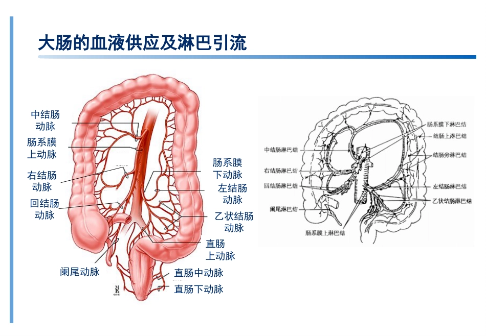 结直肠癌基础知识培训ppt课件_第6页