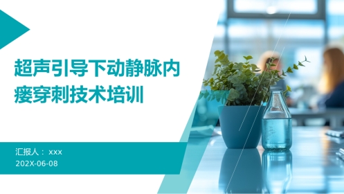 超声引导下动静脉内瘘穿刺技术培训PPT课件