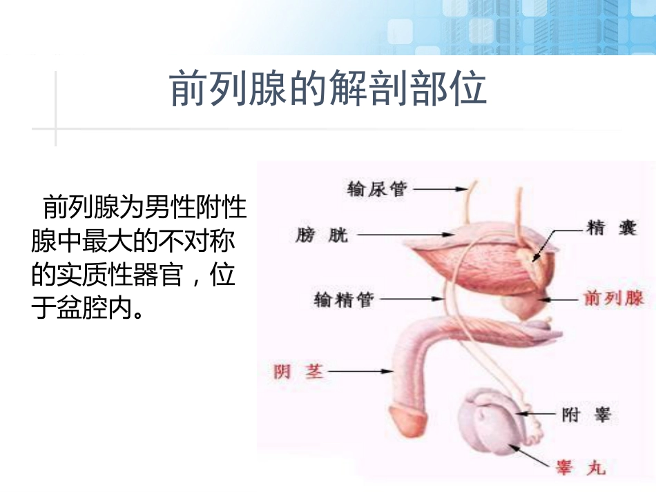 前列腺增生药物治疗_第2页