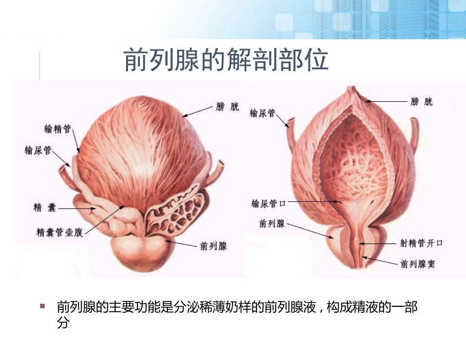 前列腺增生药物治疗_第3页