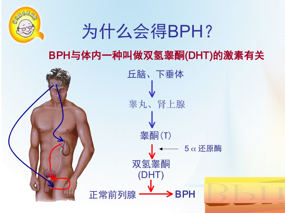 前列腺增生药物治疗_第7页
