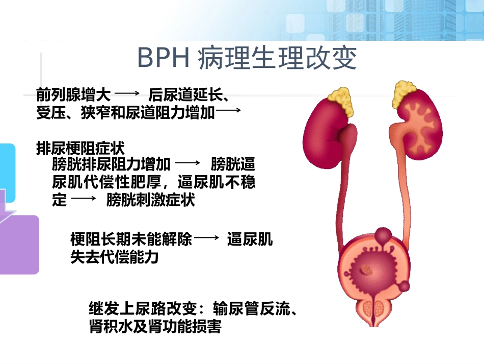 前列腺增生药物治疗_第8页