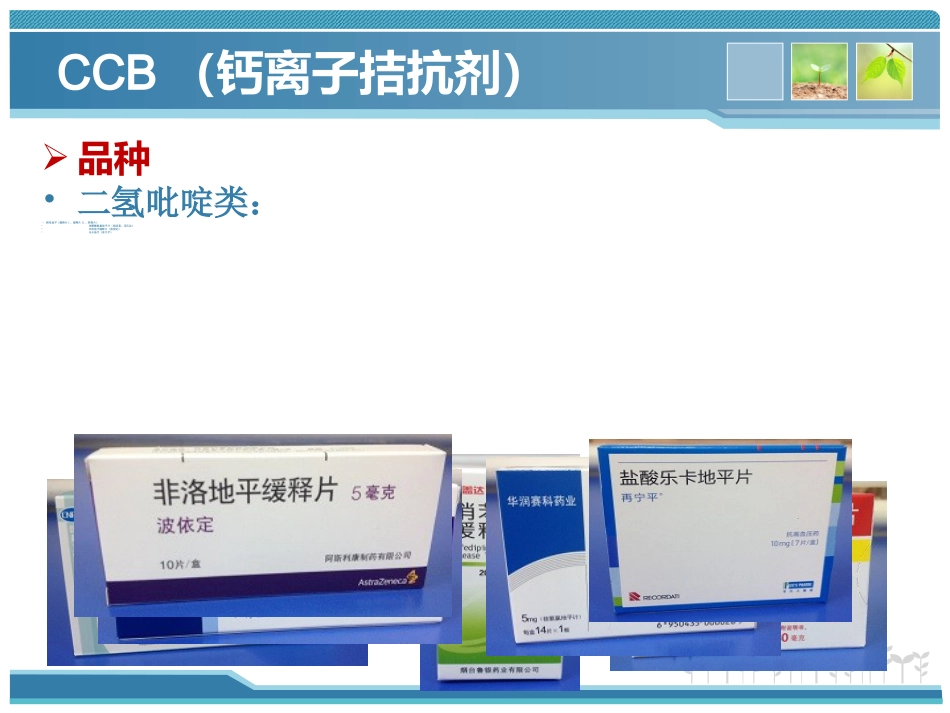 高血压药物规赔讲课_第13页