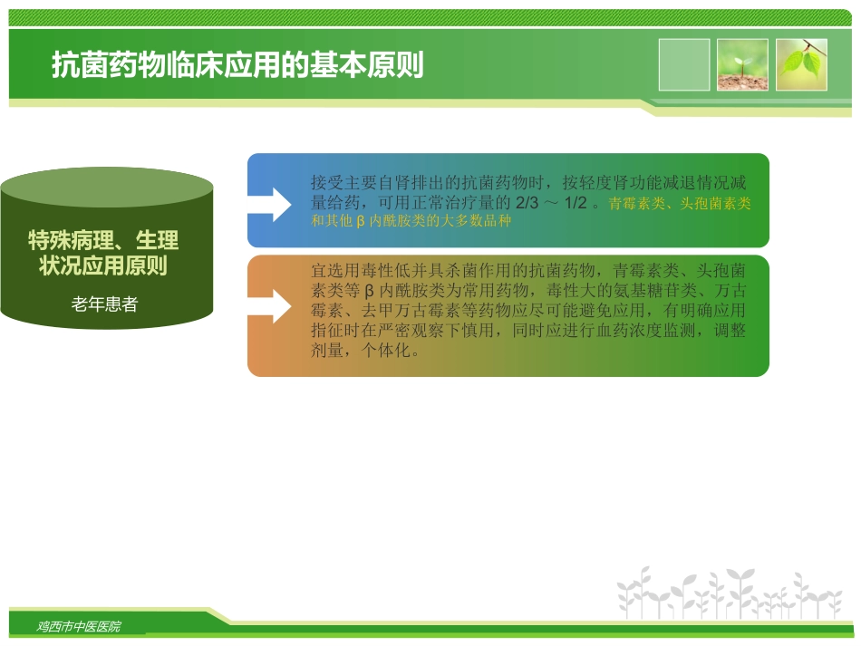 抗菌药物的临床合理应用_第11页