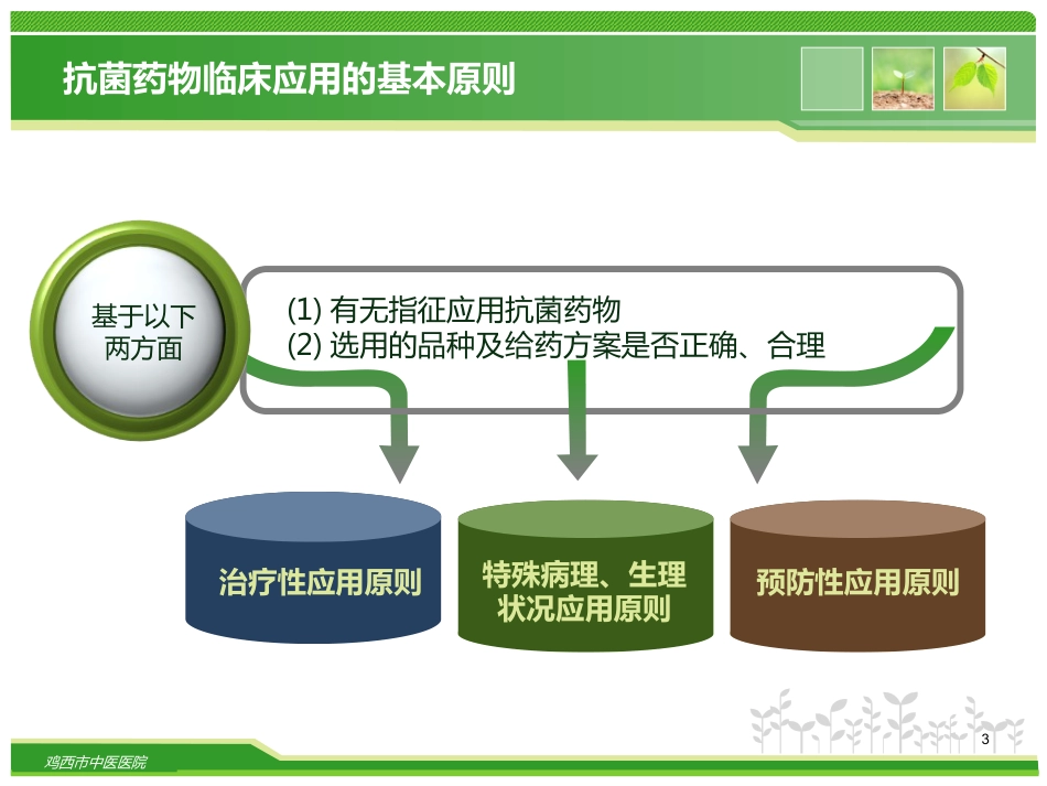 抗菌药物的临床合理应用_第3页