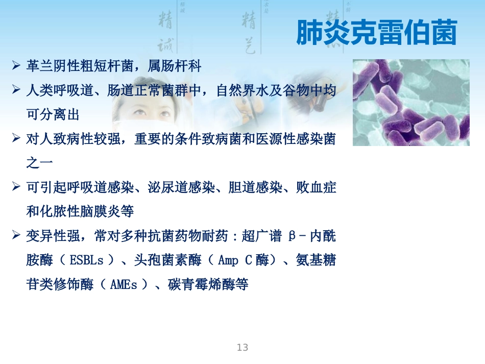 常见G菌及相关抗菌药物_第13页