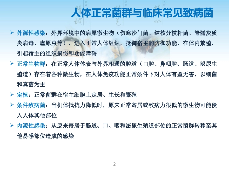 常见G菌及相关抗菌药物_第2页