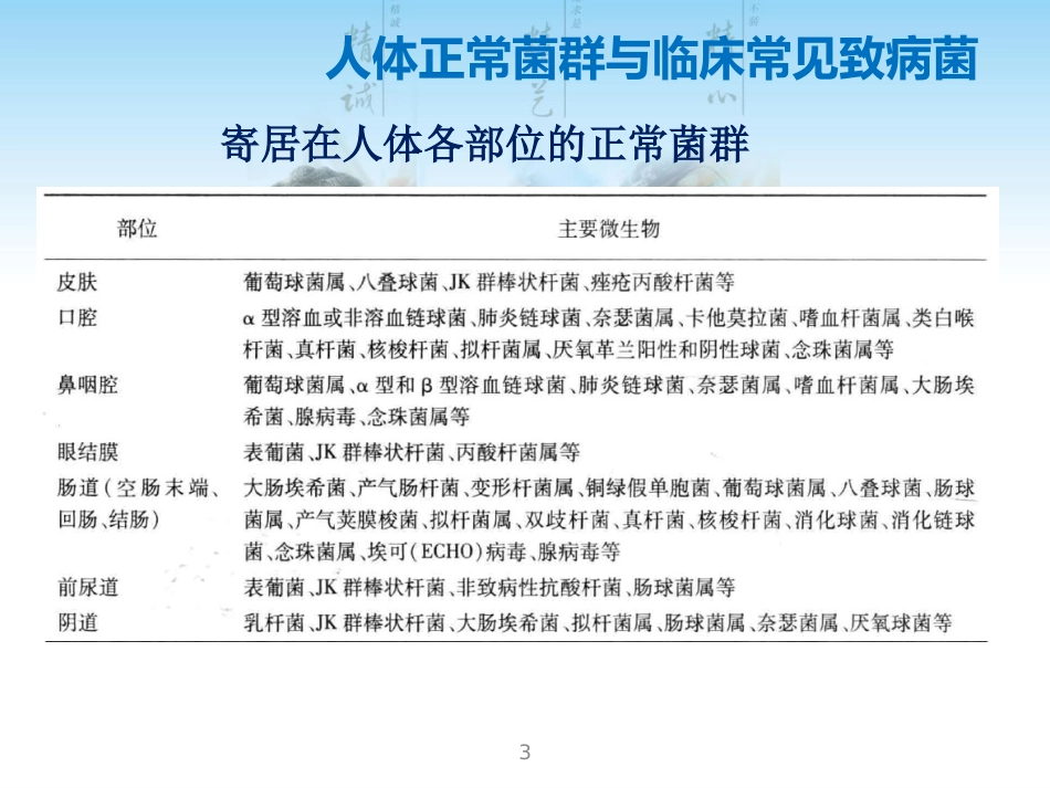 常见G菌及相关抗菌药物_第3页