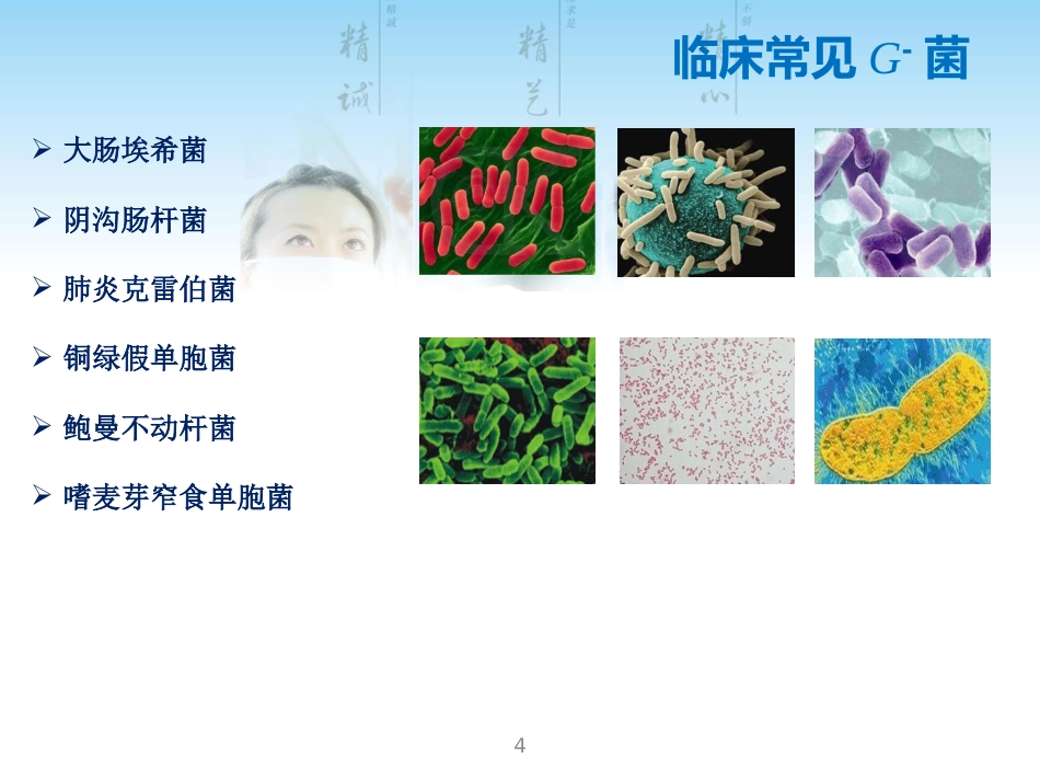 常见G菌及相关抗菌药物_第4页