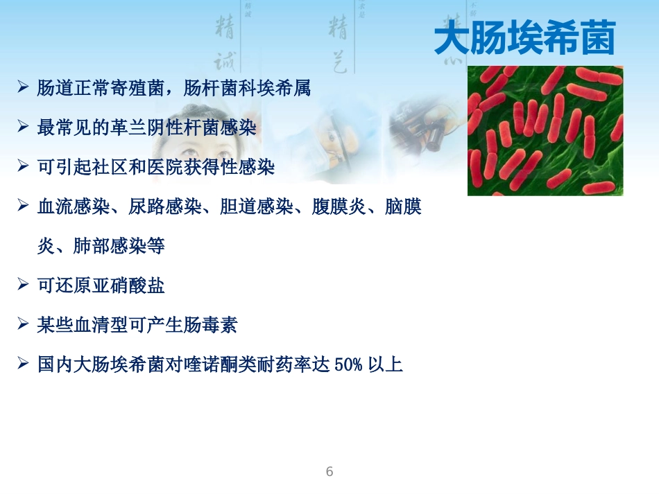 常见G菌及相关抗菌药物_第6页