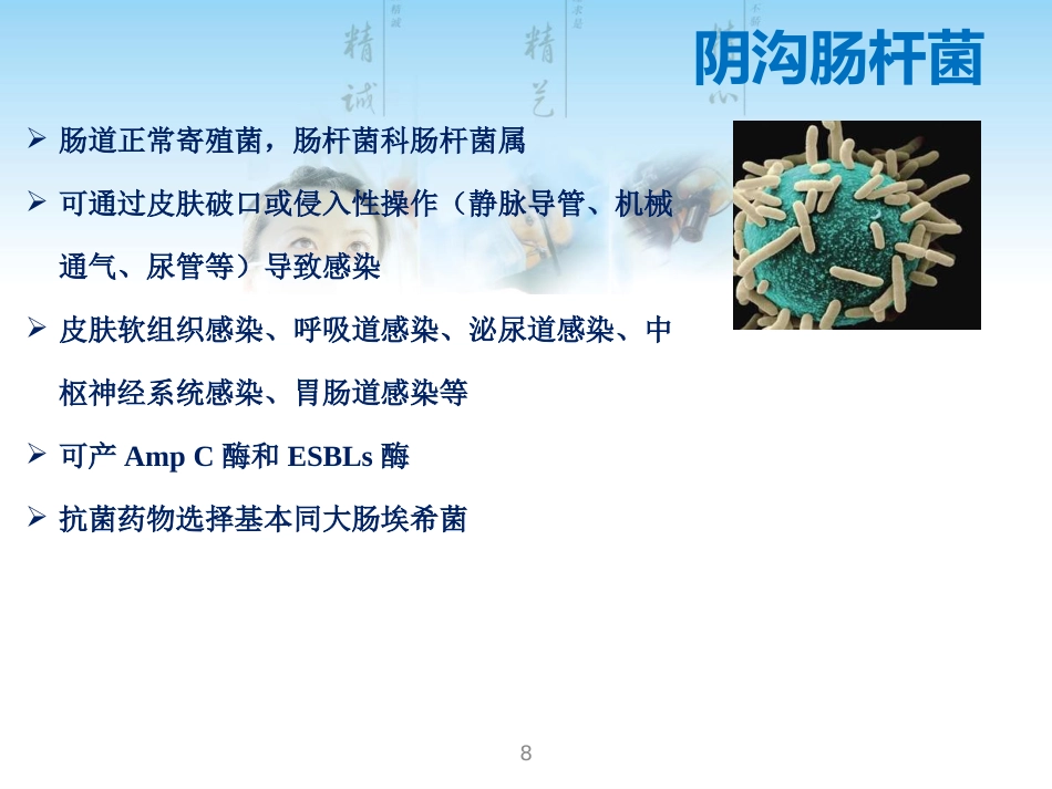 常见G菌及相关抗菌药物_第8页
