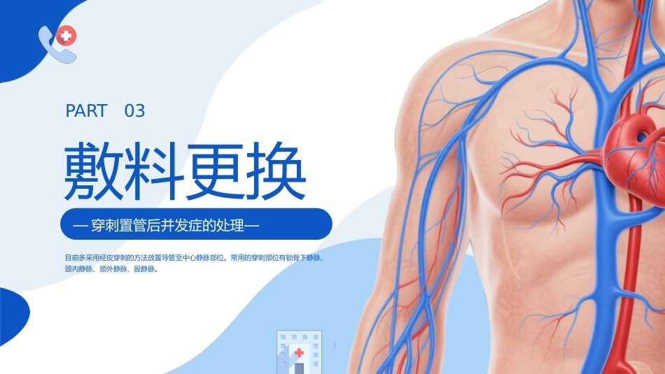 【医护教育】技能培训：深静脉置管的护理培训_第12页