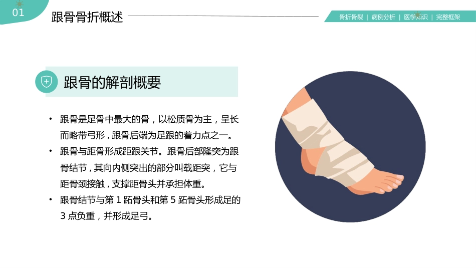 【医护教育】技能培训：骨科骨折护理医疗医学知识培训PPT_第4页