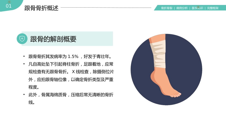【医护教育】技能培训：骨科骨折护理医疗医学知识培训PPT_第5页
