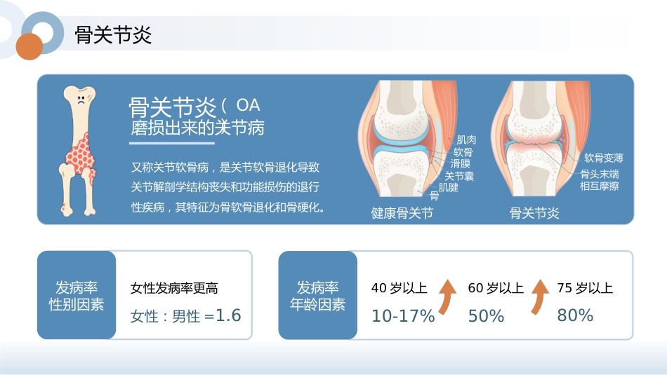 骨骼养护健康宣教讲座_第12页
