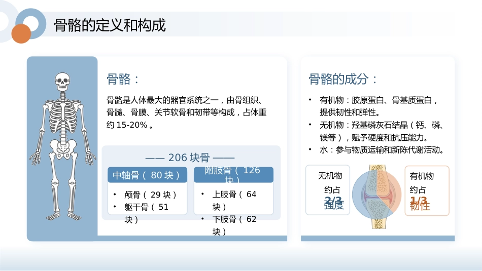 骨骼养护健康宣教讲座_第4页