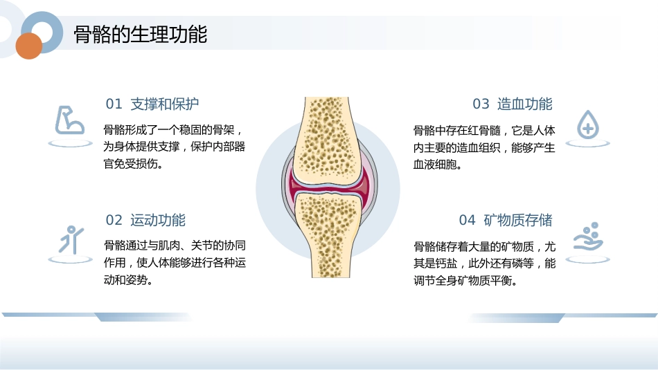 骨骼养护健康宣教讲座_第5页
