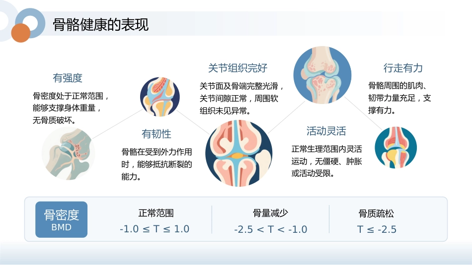 骨骼养护健康宣教讲座_第6页