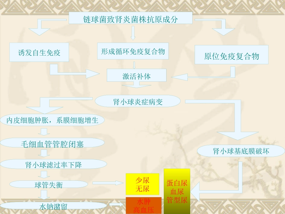 急性肾小球肾炎中医_第14页