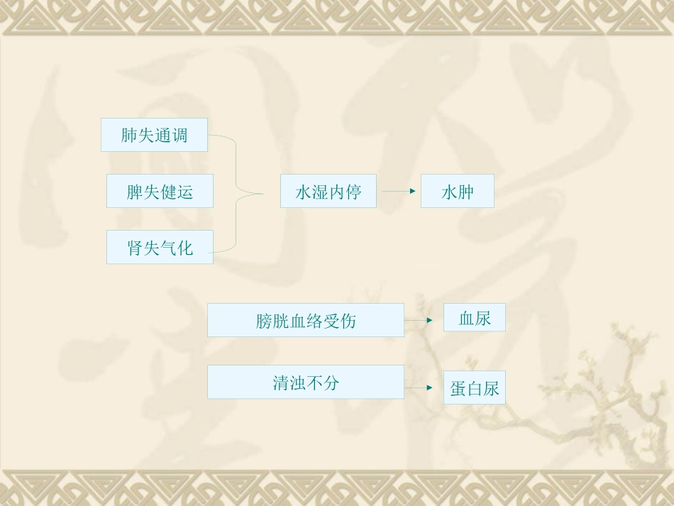 急性肾小球肾炎中医_第5页