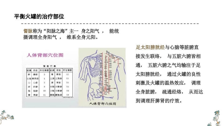 平衡火罐疗法PPT_第6页