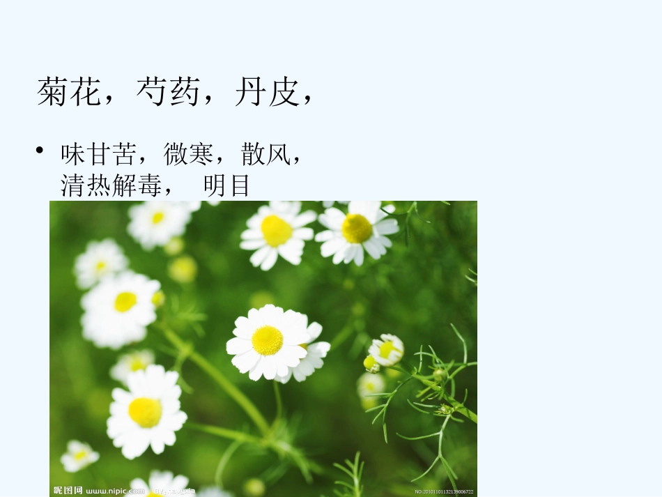 弘扬中医文化传承中医国粹_第14页