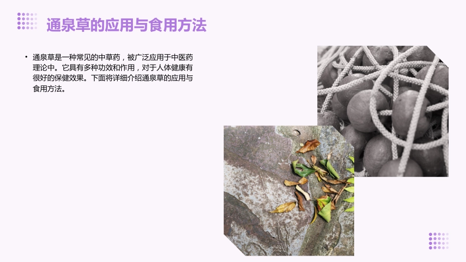 通泉草的功效与作用_第12页