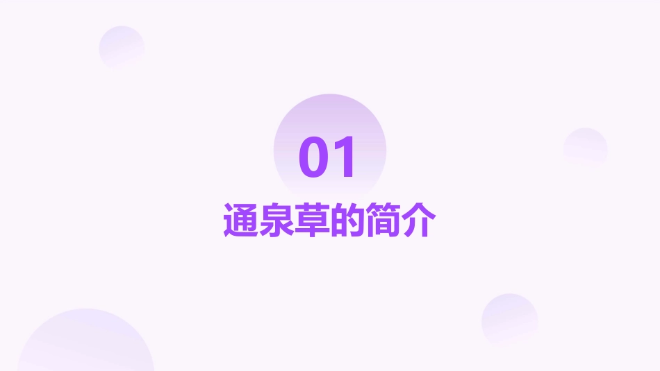 通泉草的功效与作用_第3页