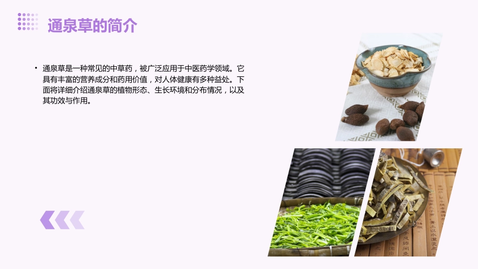 通泉草的功效与作用_第4页