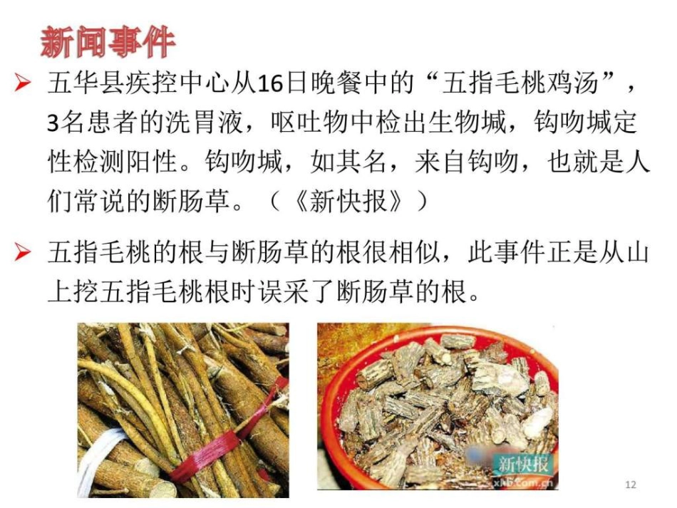 中药常见不良反应及安全用药-图文ppt_第12页