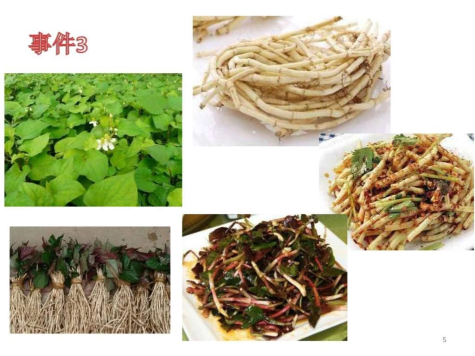 中药常见不良反应及安全用药-图文ppt_第5页