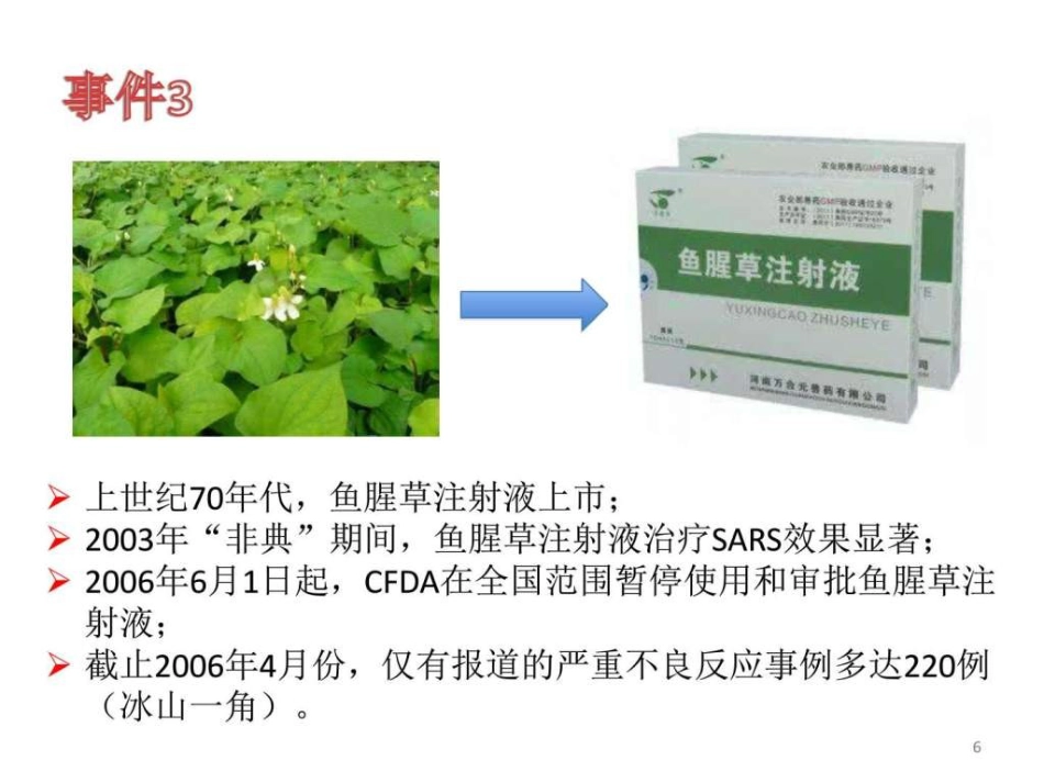 中药常见不良反应及安全用药-图文ppt_第6页