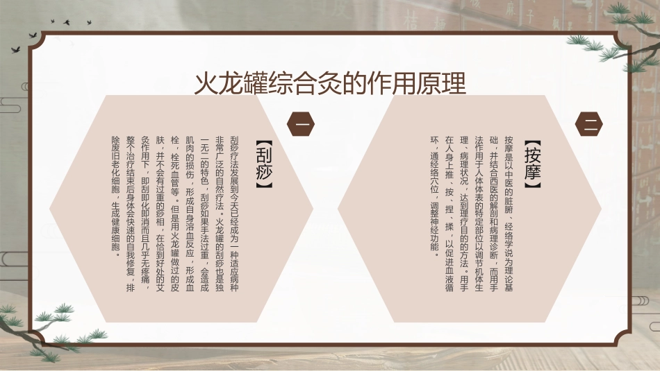 中医治疗：火龙罐的中医技术2_第11页
